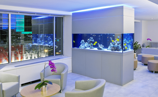 Aquarium-Decor-Ideas-Make-Your-Home-or-Office-Alive-and-Interesting