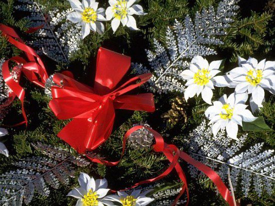 Christmas-Tree-Ornaments-5