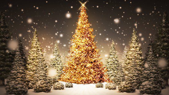 Sparkling-Christmas-Trees_1920x1080