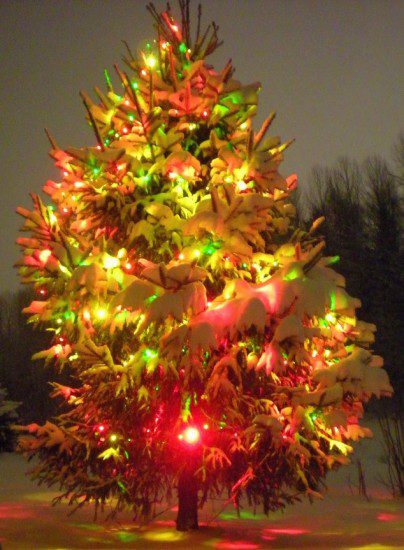 outdoor+christmas+tree+lights-634x863