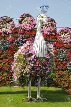 26515672-Dubai-Miracle-Garden-in-the-UAE-has-over-45-million-flowers--Stock-Photo